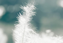 英國修訂玩具法規(guī)